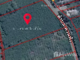  Land for sale in Thailand, Khuan Phang, Ron Phibun, Nakhon Si Thammarat, Thailand