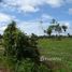  Terrain for sale in Brésil, Presidente Figueiredo, Amazonas, Brésil