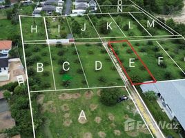  Land for sale in Choeng Thale, Thalang, Choeng Thale