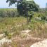  Land for sale in Krabi, Sala Dan, Ko Lanta, Krabi