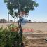  Земельный участок на продажу в Saadiyat Reserve, Saadiyat Island