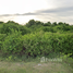  Land for sale in A Noru, Mueang Pattani, A Noru