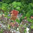  Terreno (Parcela) en venta en Indonesia, Ubud, Gianyar, Bali, Indonesia