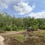  Land for sale in Thailand, Khok Kloi, Takua Thung, Phangnga, Thailand