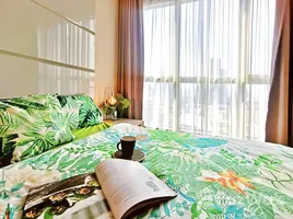 1 Bedroom Apartment for rent at The Address Asoke, Makkasan, Ratchathewi, Bangkok