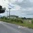 ขายที่ดิน ใน เชียงใหม่, ห้วยทราย, แม่ริม, เชียงใหม่