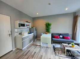 1 Bedroom Condo for rent at Serene Lake North 2, Suthep, Mueang Chiang Mai, Chiang Mai, Thailand