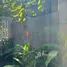 3 Schlafzimmer Villa zu vermieten in Hoa Quy, Da Nang, Hoa Quy