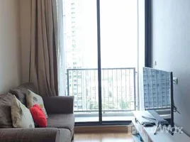 คอนโด 1 ห้องนอน ให้เช่า ในโครงการ คิว เฮ้าส์ คอนโด สุขุมวิท 79, พระโขนง