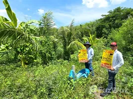  Land for sale in Bang Khu Rat, Nonthaburi, Bang Khu Rat, Bang Bua Thong, Nonthaburi