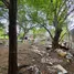 Land for sale in Sai Noi Nonthaburi, Thawi Watthana, Sai Noi, Nonthaburi