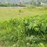  Land for sale in Choeng Thale, Phuket, Choeng Thale