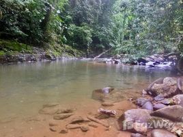  Terreno (Parcela) en venta en Aguirre, Puntarenas, Aguirre