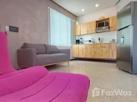 1 Bedroom Apartment for rent at SAN JOSE, San Jose, San Jose