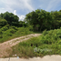  Land for sale in Chumphon, Thung Takhrai, Thung Tako, Chumphon