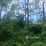  Land for sale in Laguna, Choeng Thale, Choeng Thale