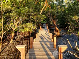  Grundstück zu verkaufen in Ao Luek, Krabi, Laem Sak, Ao Luek, Krabi