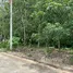 ขายที่ดิน ใน ตลิ่งงาม, สุราษฎร์ธานี, ตลิ่งงาม, เกาะสมุย, สุราษฎร์ธานี