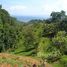  Land for sale in Costa Rica, Golfito, Puntarenas, Costa Rica