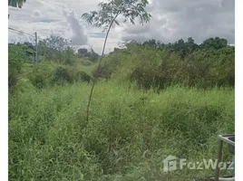  Grundstück zu verkaufen in Mueang Phichit, Phichit, Ban Bung