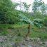  Terreno (Parcela) en venta en Costa Rica, Nicoya, Guanacaste, Costa Rica