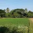  Land for sale in Nong Khai, Hat Kham, Mueang Nong Khai, Nong Khai