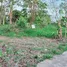 ขายที่ดิน ใน พัทยา ชลบุรี, บางละมุง