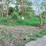  Terrain for sale in Pattaya, Bang Lamung, Pattaya