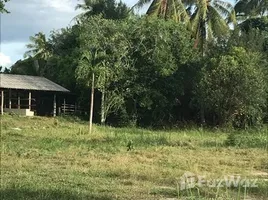 ขายที่ดิน ใน เขากระปุก, เพชรบุรี, เขากระปุก, ท่ายาง