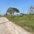  Land for sale in Thailand, Mai Tra, Bang Sai, Phra Nakhon Si Ayutthaya, Thailand