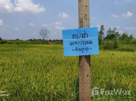  Land for sale in Phra Nakhon Si Ayutthaya, Phra Nakhon Si Ayutthaya, Phra Nakhon Si Ayutthaya