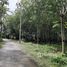  Земельный участок for sale in Pa Khlok, Пхукет, Pa Khlok