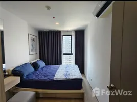 คอนโด 1 ห้องนอน ให้เช่า ในโครงการ ไอดีโอ โอทู, บางนา, บางนา, กรุงเทพมหานคร