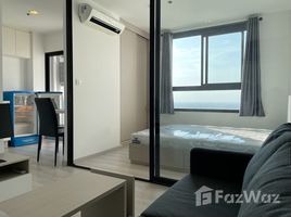 1 Bedroom Condo for rent at Skyline Rattanathibet , Bang Kraso, Mueang Nonthaburi