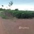  Land for sale in Thailand, Song, Nam Yuen, Ubon Ratchathani, Thailand