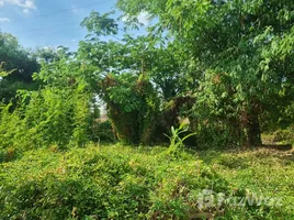  Land for sale in Ubon Ratchathani, Rai Noi, Mueang Ubon Ratchathani, Ubon Ratchathani