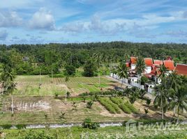  Земельный участок for sale in Splash Jungle Water Park, Mai Khao, Mai Khao