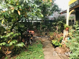  Земельный участок for sale in Mae Hong Son, Pha Bong, Mueang Mae Hong Son