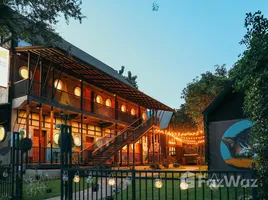 ขายโรงแรม 18 ห้องนอน ในโครงการ เยลโล่ พิลโล่ วิลเลจ, ช้างเผือก, เมืองเชียงใหม่, เชียงใหม่