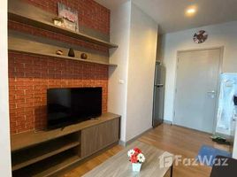 1 Bedroom Apartment for rent at Chapter One Midtown Ladprao 24, Chomphon