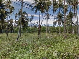 N/A Land for sale in Maenam, Koh Samui Beautiful Mountain View Land For Sale