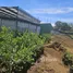  Terreno (Parcela) en venta en Costa Rica, Barva, Heredia, Costa Rica