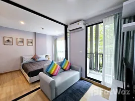 1 chambre Condominium à vendre à Zcape I., Choeng Thale