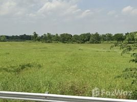  Land for sale in Capas, Tarlac, Capas