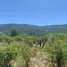  Grundstück zu verkaufen in Colchagua, Libertador General Bernardo Ohiggins, Chimbarongo, Colchagua, Libertador General Bernardo Ohiggins, Chile