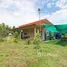  Land for sale in Hua Na, Nong Bua Lam Phu, Hua Na