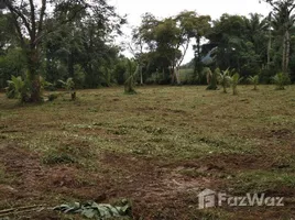  Terrain for sale in Phuket, Si Sunthon, Thalang, Phuket