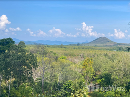  Terrain for sale in Pa Khlok, Thalang, Pa Khlok