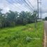  Land for sale in Takua Thung, Phangnga, Krasom, Takua Thung