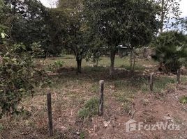  Grundstück zu verkaufen in Siquirres, Limon, Siquirres, Limon